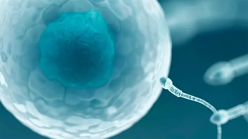 Genetica