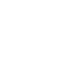 Nelore VC